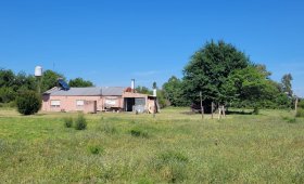 3 Hectáreas  – Concepción del Uruguay